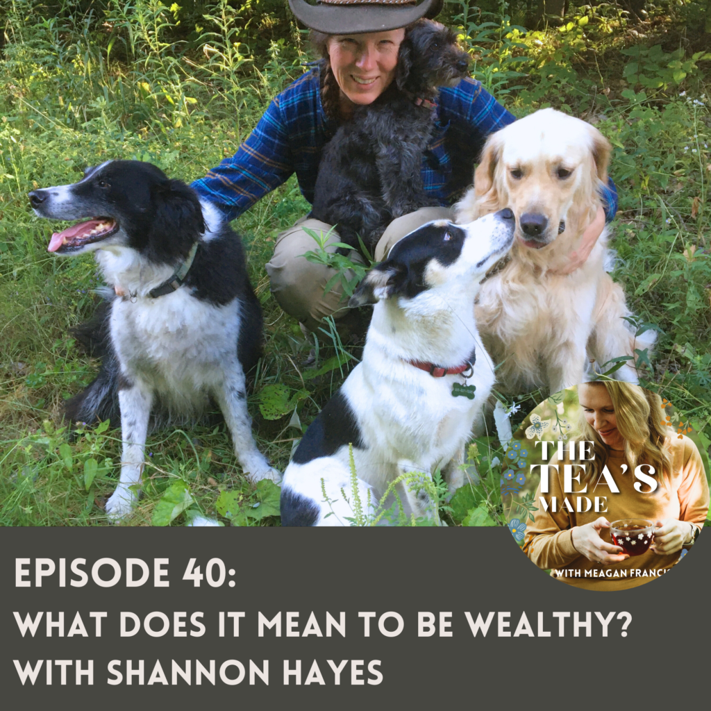 Shannon Hayes on The Tea's Made Podcast